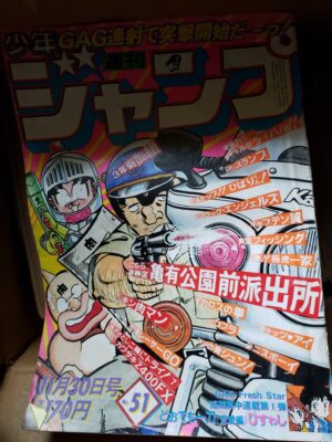 【悲報】 ワイのマッマが使っていたであろうバイブ？が見つかってしまう