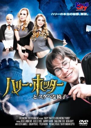 【性癖】 理解できないAVジャンルをあげると理解できるなんJ民が解説してくれるスレ