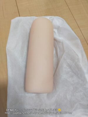 【悲報】 わい、ついにラブドールを買ってしまう😢