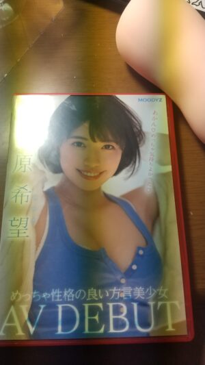 【興奮】 オナホ買ってきたで