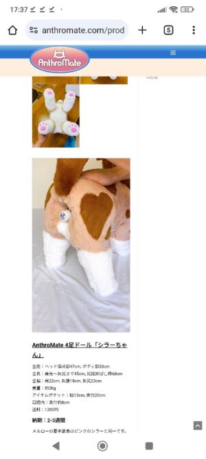 【画像】 新潟のラブドールメーカーさんのエッチなラブドール（16万円）🧸がこちら